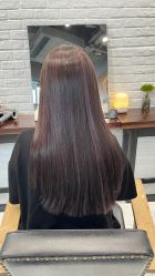 -程Studio