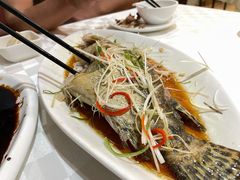 清蒸桂鱼-光明邨大酒家(淮海路店)