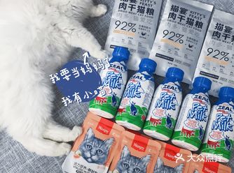我有宝宝了！我是快生产的猫麻麻。