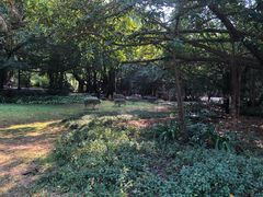 -北海市海滨公园