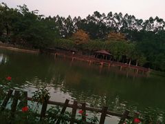 -揭东万竹园旅游景区