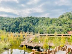 -神光山国家森林公园