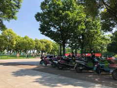 -九里河湿地公园