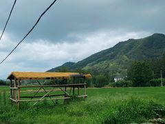 -东天目山风景区