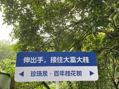 -南京珍珠泉风景区