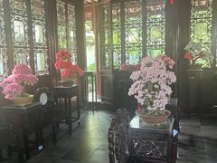 -上海醉白池公园