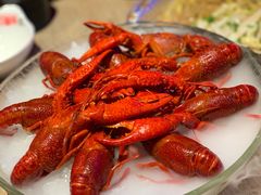 精品冰镇龙虾-红盔甲·小龙虾(车公庙店)