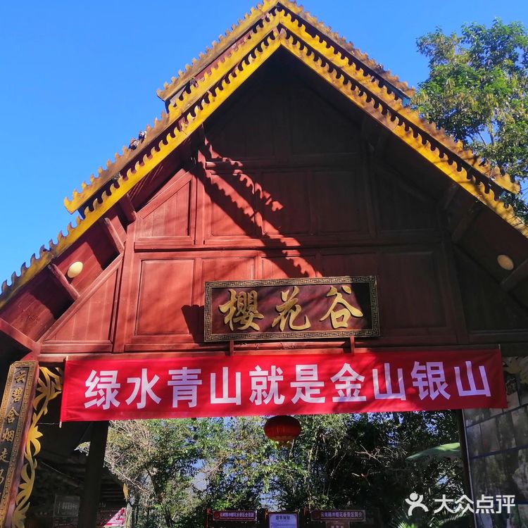 腾冲樱花谷森林温泉