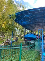 -大望京儿童游乐场