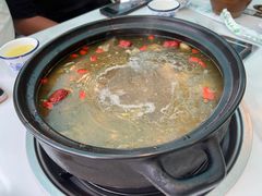 -蘑统田下·野生菌火锅