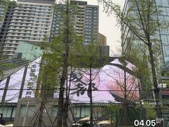 -合景·悠方(成都店)