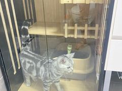 -宠颐生嘉德动物医院
