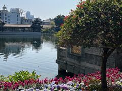 -荔湾湖公园