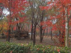 -秦皇岛野生动物园