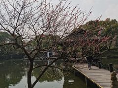 -兰亭风景区