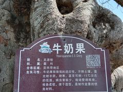 -南宁花花大世界景区