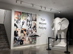 -大象映画旗舰店