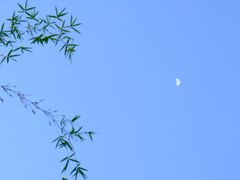 -沐仙湖湿地公园