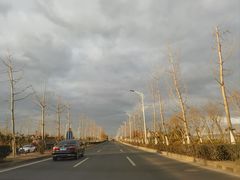 -上海野生动物园
