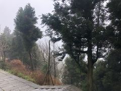 -南岳衡山风景名胜区