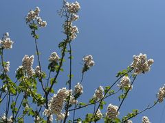 -昆山城市生态森林公园