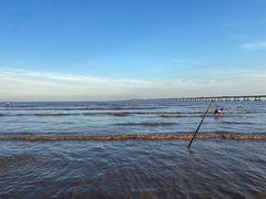 -南汇嘴观海公园