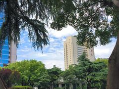 -中国福利会少年宫