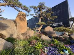 -罗红摄影艺术馆