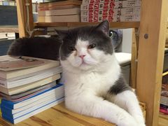-小时光咖啡馆(开森度假森林店)