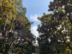 -宁波市保国寺古建筑博物馆