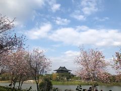 -海珠湖公园