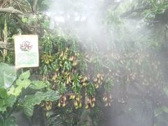 -青青世界