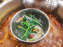 -金鼎雪山牦牛杂火锅(理县总店)