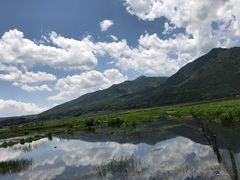 景点-腾冲北海湿地