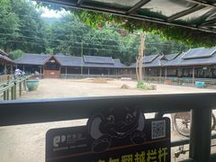 -野象谷景区