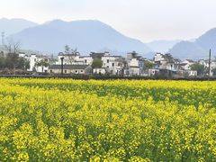 -绩溪龙川景区