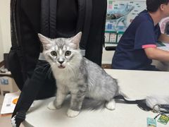 -美联众合24小时·皮肤科·外科·全科诊疗中心(华苑分院)