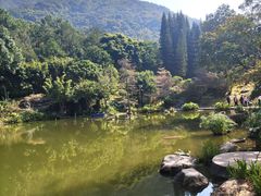 -深圳仙湖植物园