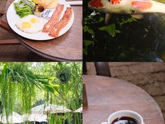 -Fern Forest Cafe