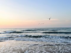 -青岛石老人海水浴场