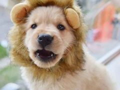 -盛宝粥店(建设街店)