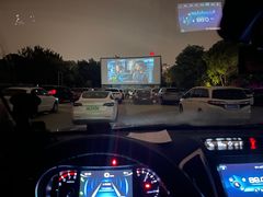 -枫花园汽车电影院(朝阳公园店)