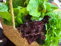 -芸山季·云南野生菌火锅(人民广场来福士店)