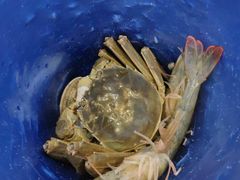 -澜悦港海鲜体验主题餐厅