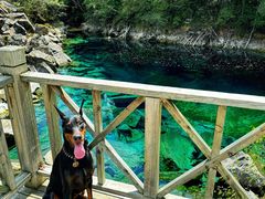 -叠溪松坪沟景区