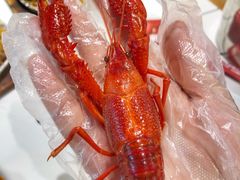 -霸王虾·麻辣小龙虾(清水河公园店)