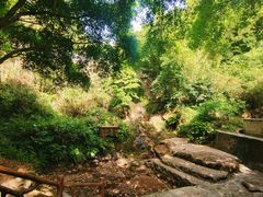 -大雁山风景区