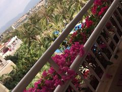 iphone_upload_pic-三亚亚龙湾金棕榈度假酒店