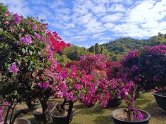 -三亚蜈支洲岛旅游区