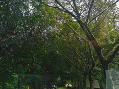 -李小龙乐园(顺德均安店)